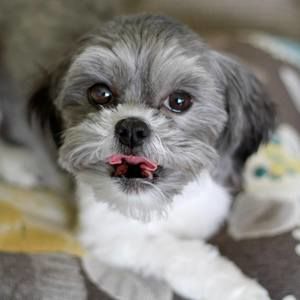 Meet your Posher, Mark